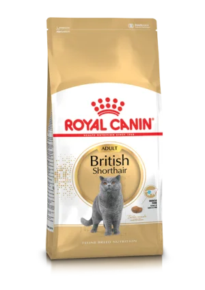 RC Feline British Shorthair 10 kg