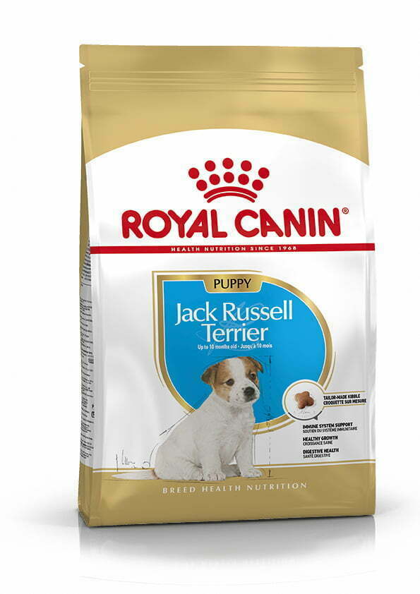 PU_JACK-RUSSEL_PACKSHOT_BHN18