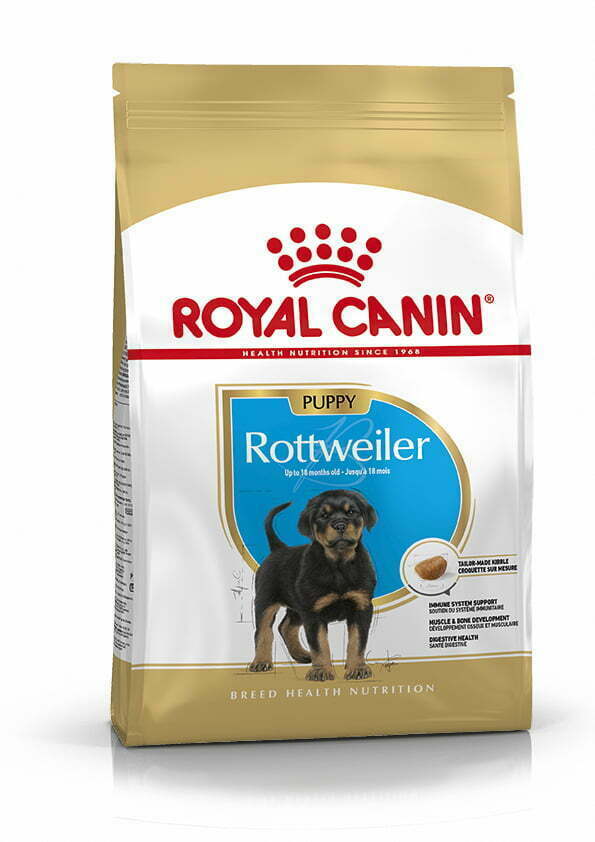 PU_ROTTWEILER_PACKSHOT_BHN18