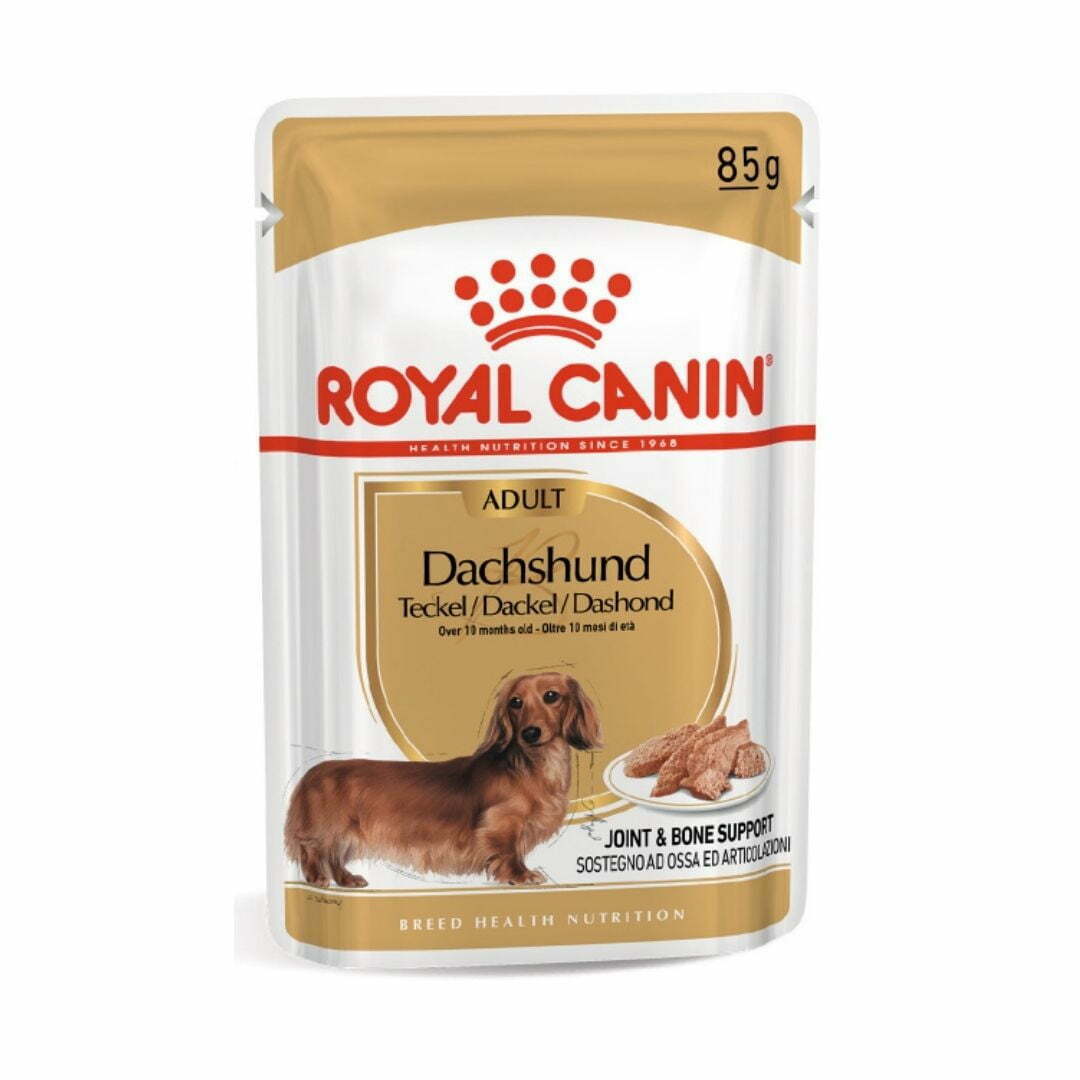 Pets Krizoo Royal Canin