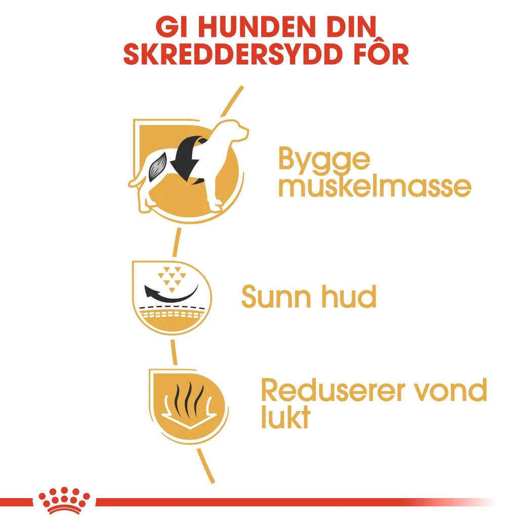 RC Breed French Bulldog Adult 9 kg - Bilde 7