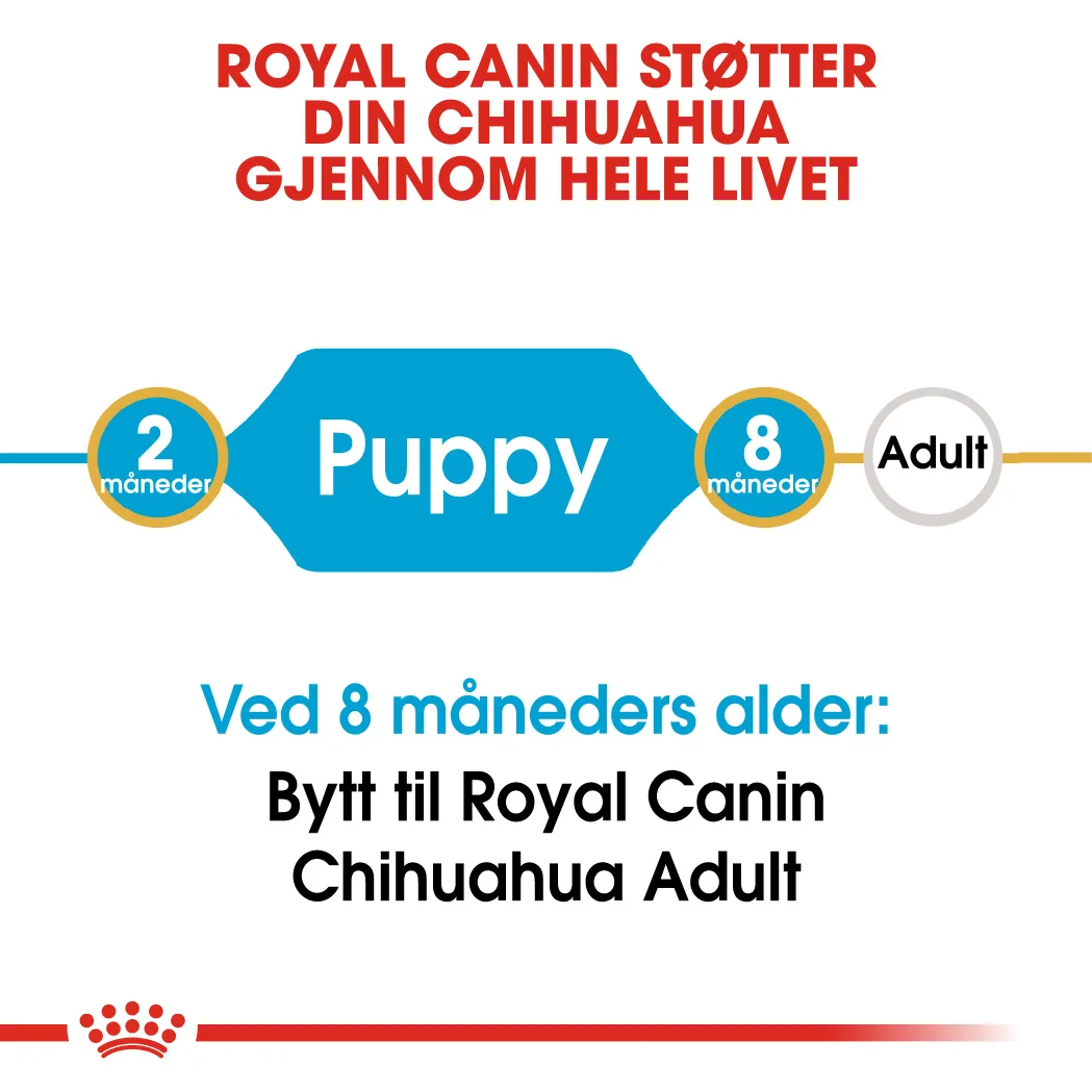 Royal Canin Chihuahua Junior 1,5 kg - Bilde 4