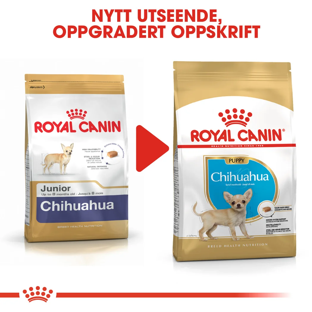 Royal Canin Chihuahua Junior 1,5 kg - Bilde 8