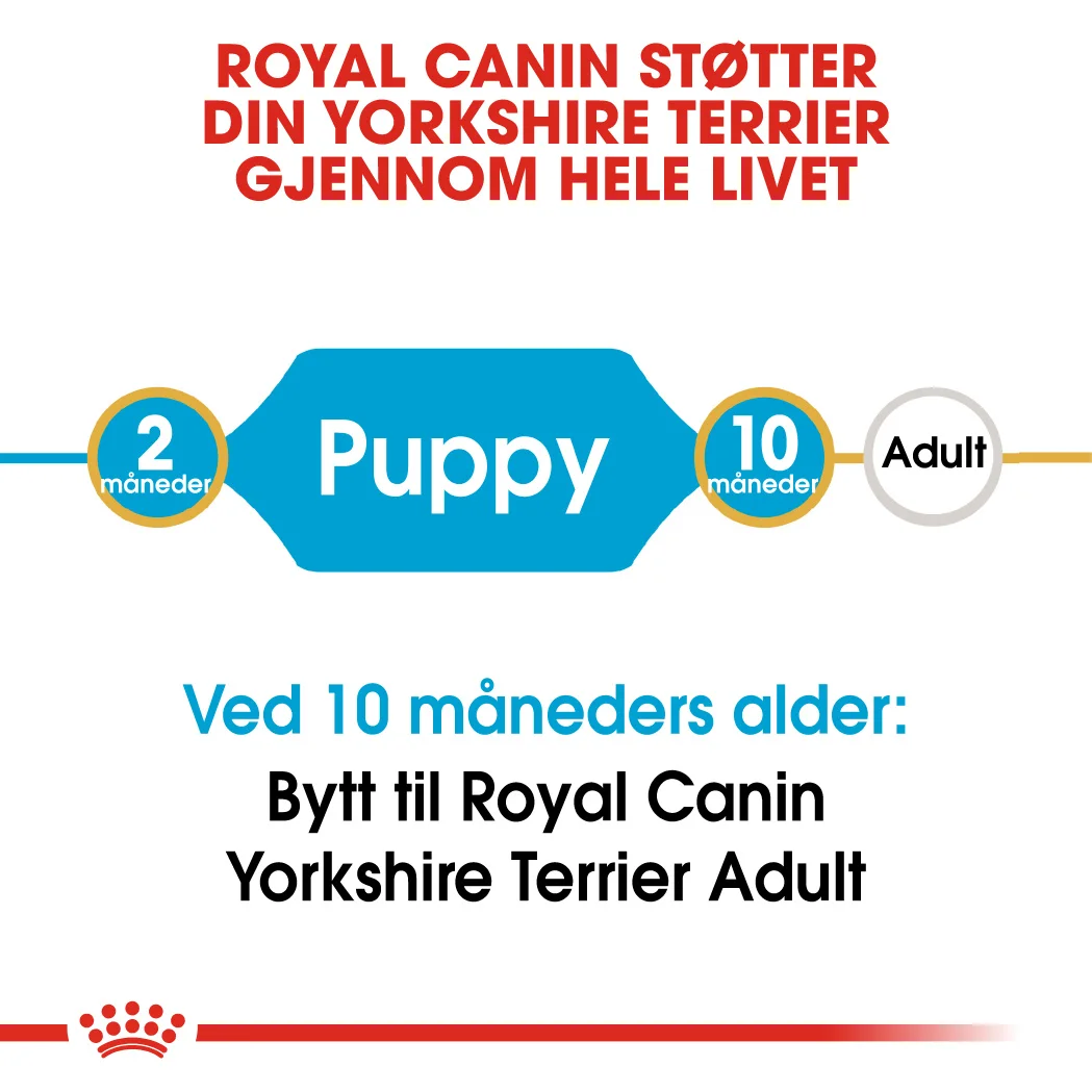 Royal Canin Yorkshire Terrier Junior 1,5 kg - Bilde 9