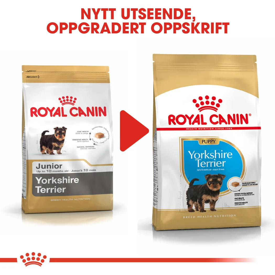Royal Canin Yorkshire Terrier Junior 1,5 kg - Bilde 6