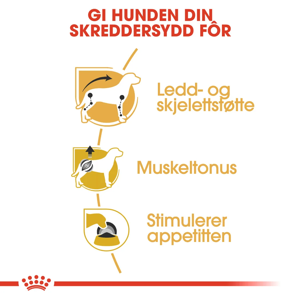 RC Breed Dachshund Wet 12x85 g - Bilde 3