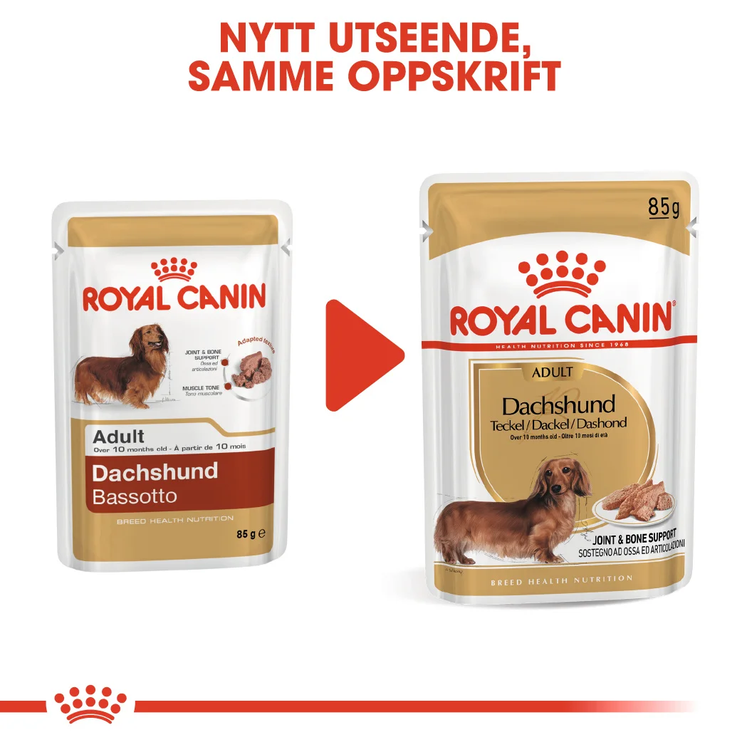 RC Breed Dachshund Wet 12x85 g - Bilde 4