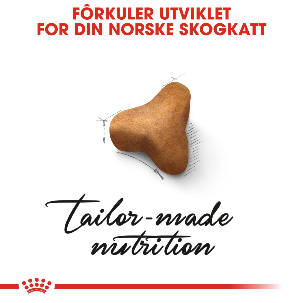 RC Feline Norwegian Forest 10 kg - Bilde 8