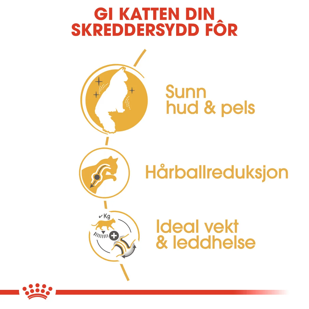 RC Feline Norwegian Forest 10 kg - Bilde 7