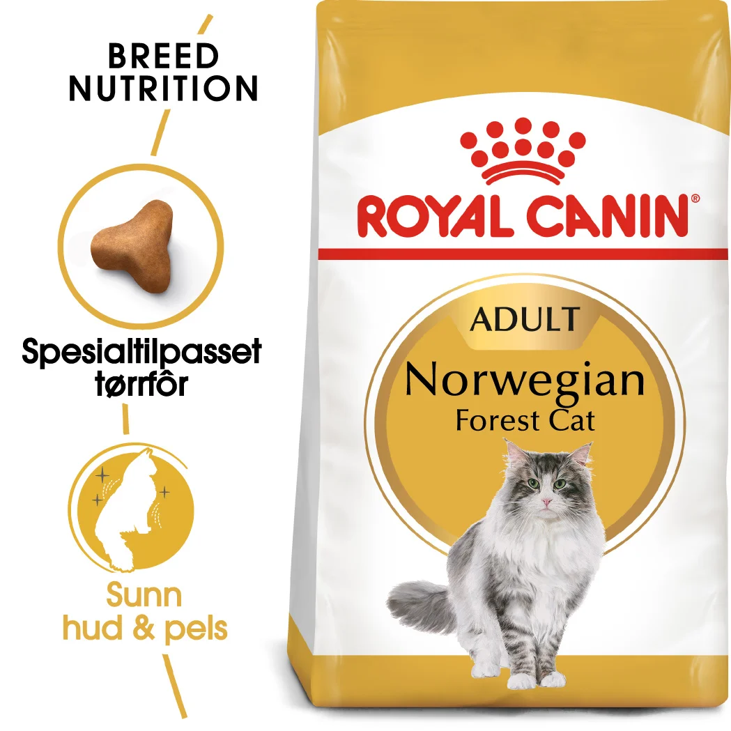 RC Feline Norwegian Forest 10 kg - Bilde 3
