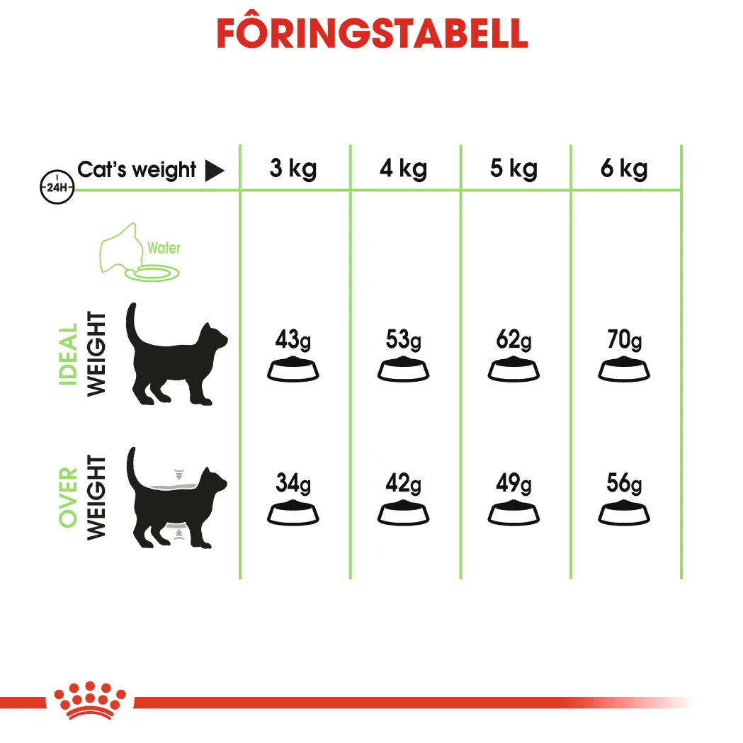 RC Feline Digestive Care 400 g - Bilde 4