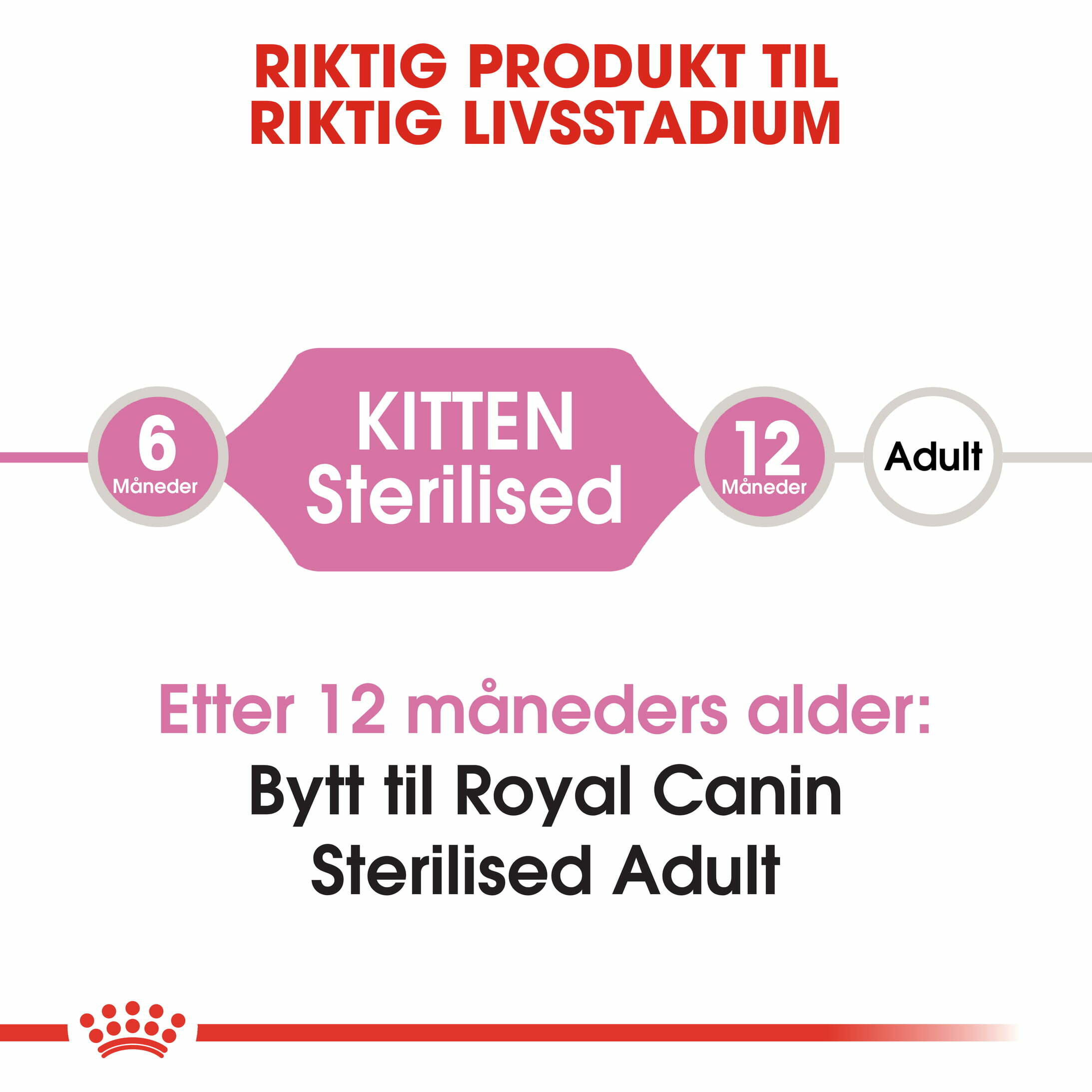 Royal Canin Feline Kitten Sterilised 400 g - Bilde 8