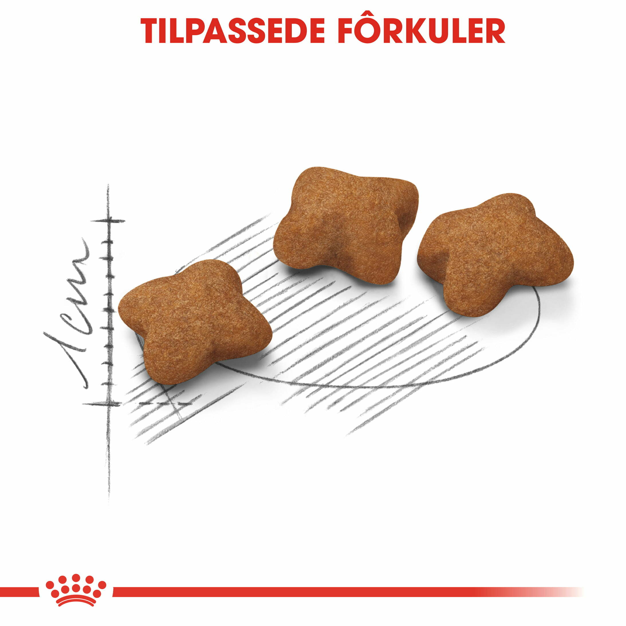 Royal Canin Feline Kitten Sterilised 400 g - Bilde 6