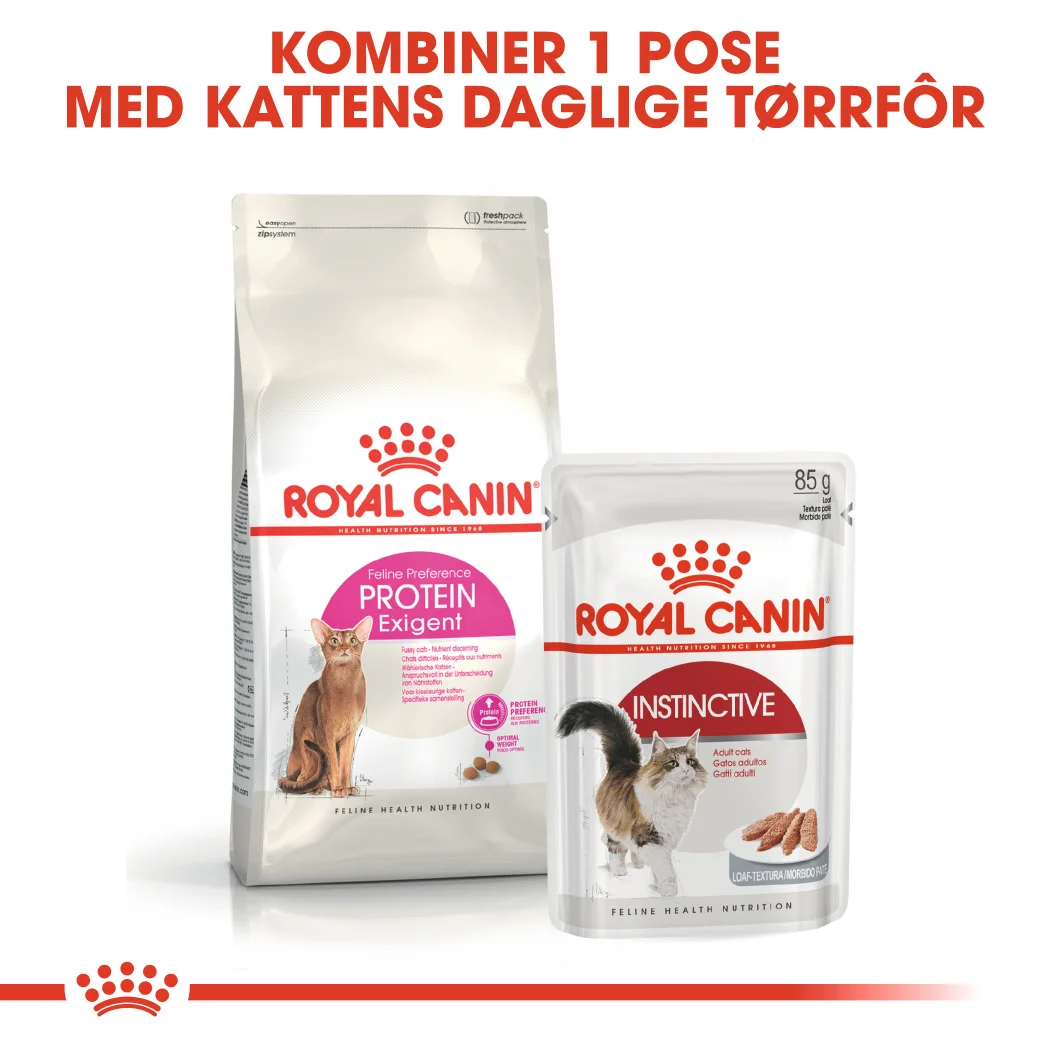 Royal Canin Feline Protein Exigent 2 kg - Bilde 6