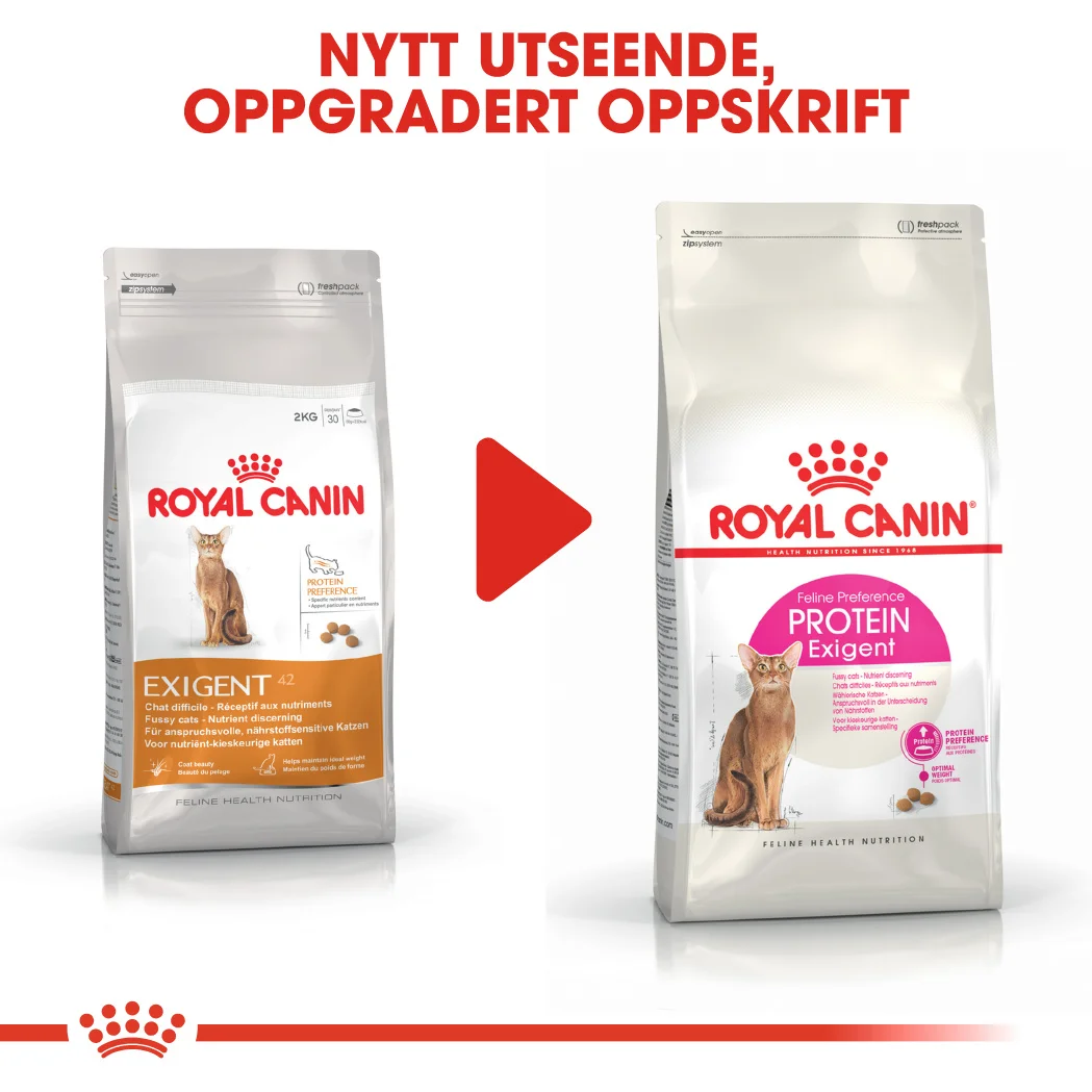 Royal Canin Feline Protein Exigent 2 kg - Bilde 5