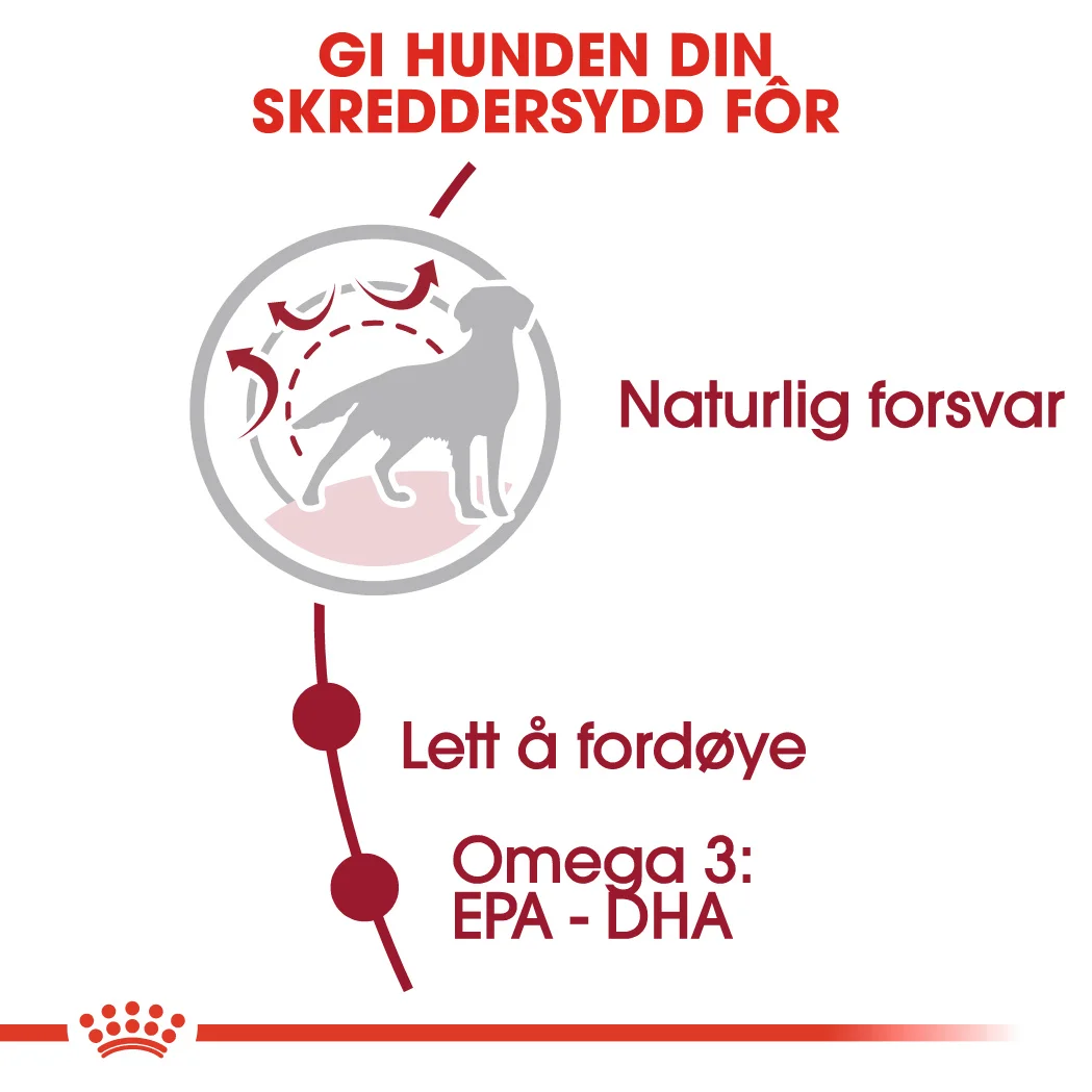 Royal Canin Medium Adult 7+ 4 kg - Bilde 7