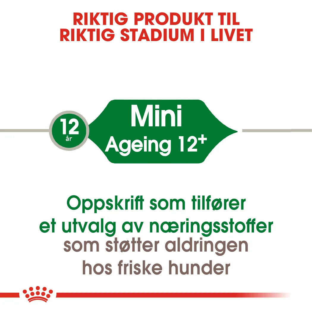Royal Canin Mini Ageing 12+ 1,5 kg - Bilde 8
