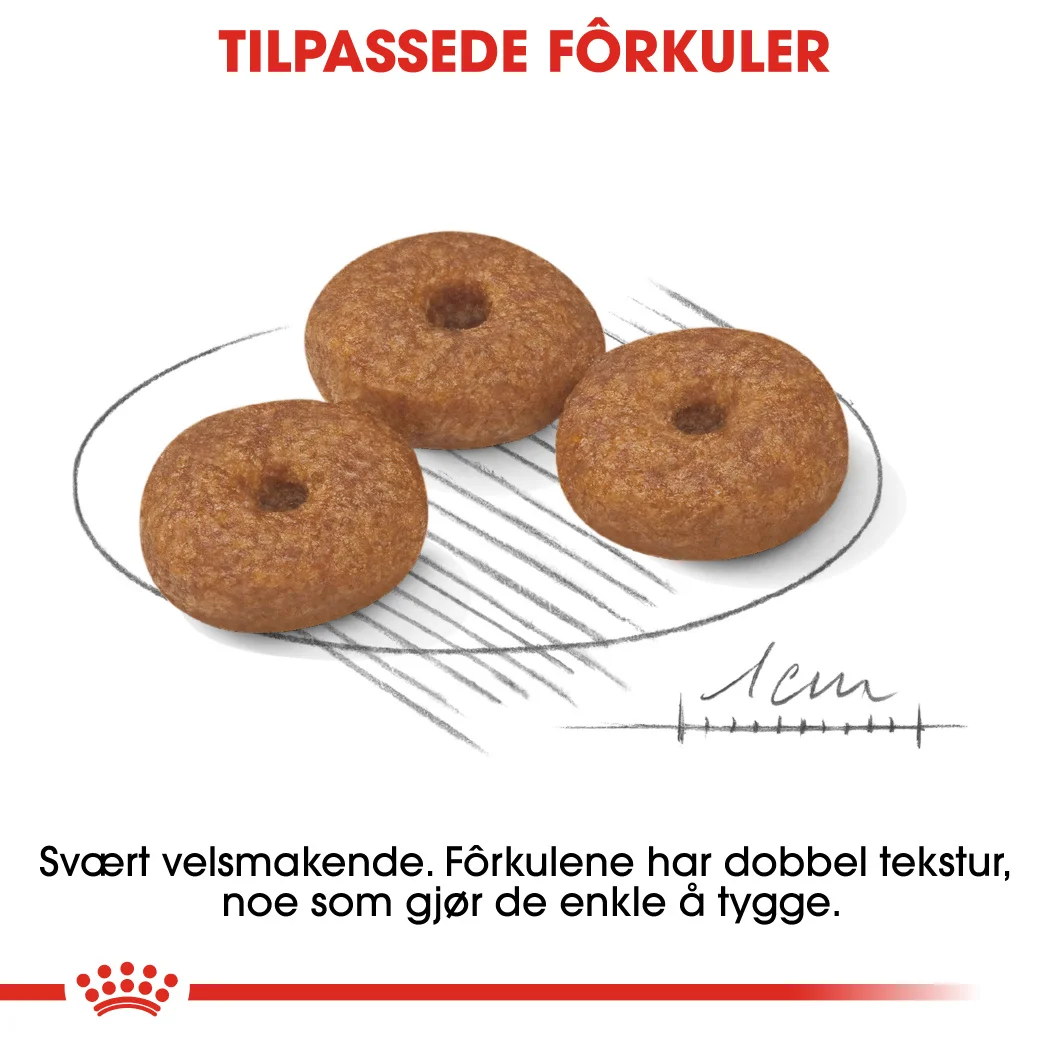 Royal Canin Mini Ageing 12+ 1,5 kg - Bilde 2