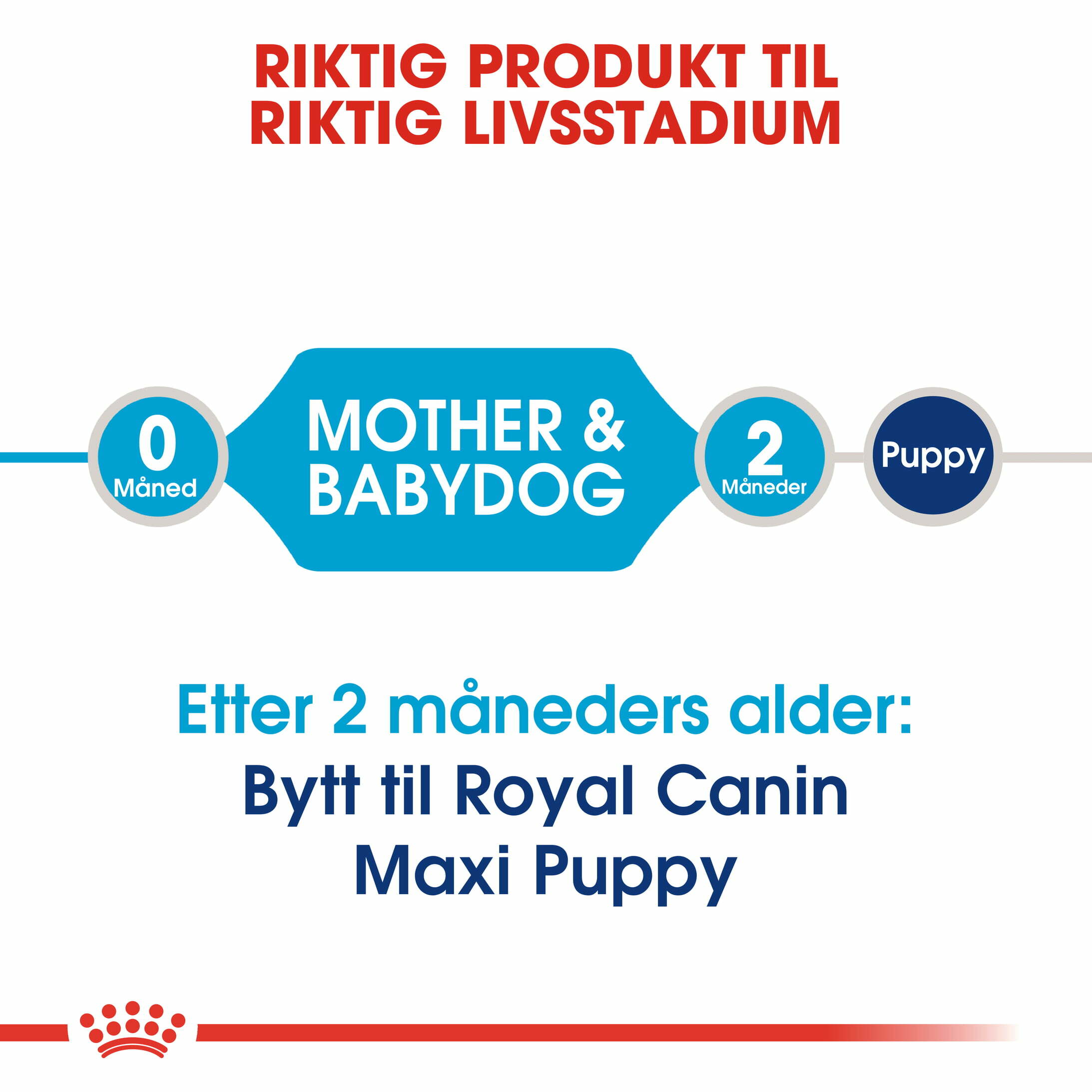 RC Maxi Starter 15 kg - Bilde 9