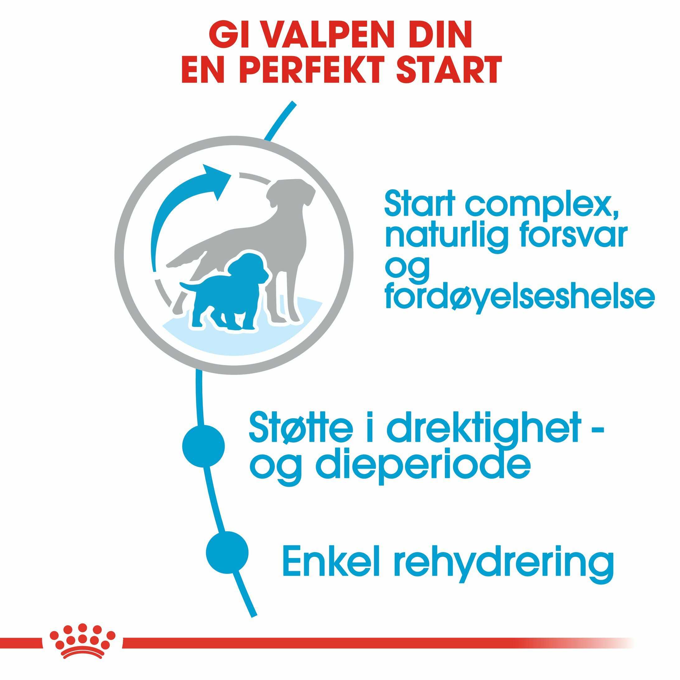 RC-SHN-Puppy-Medium Starter Mother & Babydog-CV2-dog_005_NORWAY-NORWEGIAN