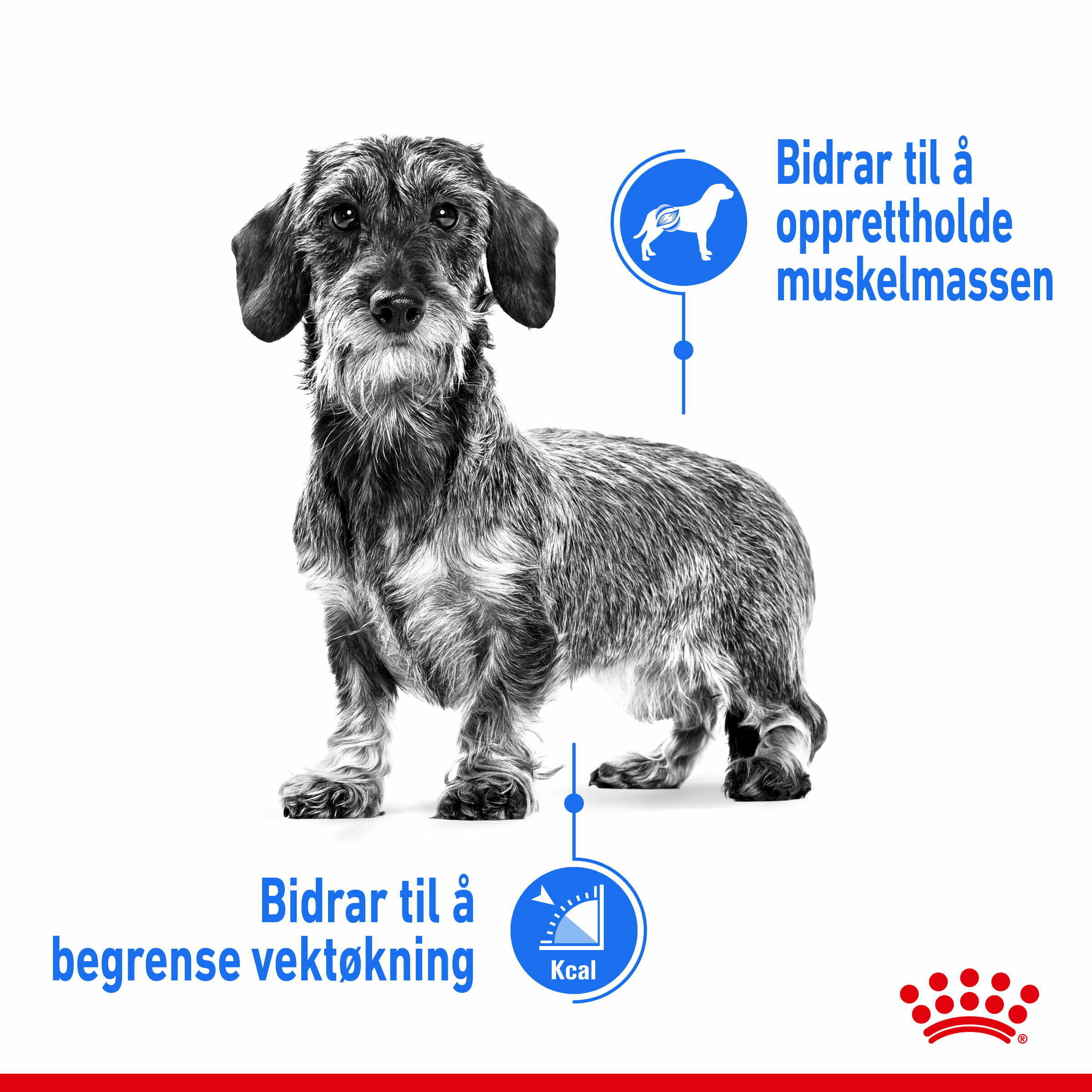 Royal Canin Light Weight Care Wet 85 g - Bilde 3