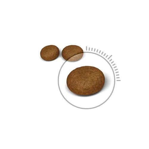 RC Feline Hair & Skin Care 10 kg - Bilde 3