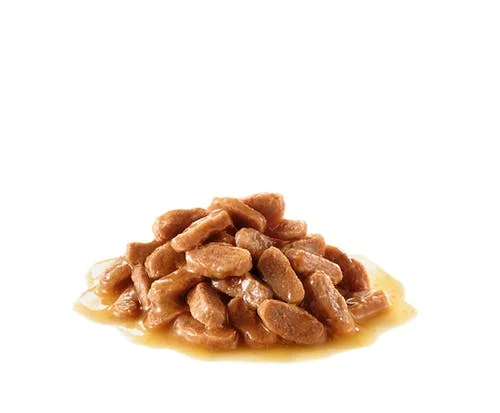 Royal Canin Feline Kitten Sterilised Gravy 85 g - Bilde 2