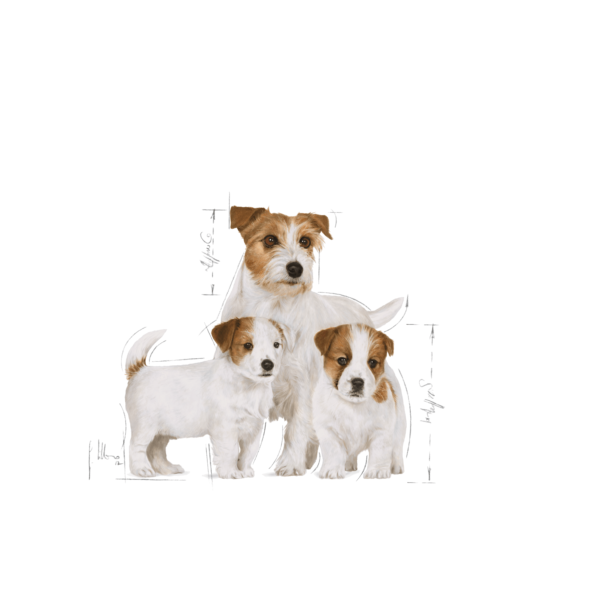 RC Mother & Babydog Starter Mousse 195 g - Bilde 3