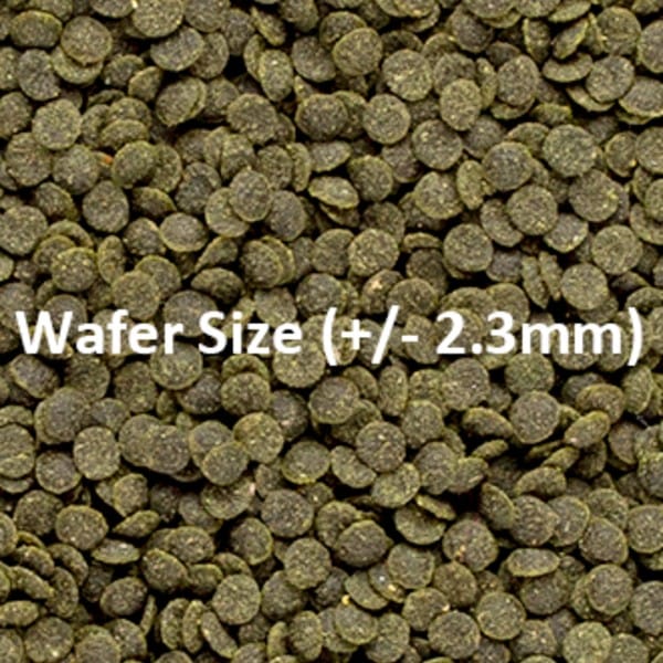 ON Shrimp wafers - Bilde 2