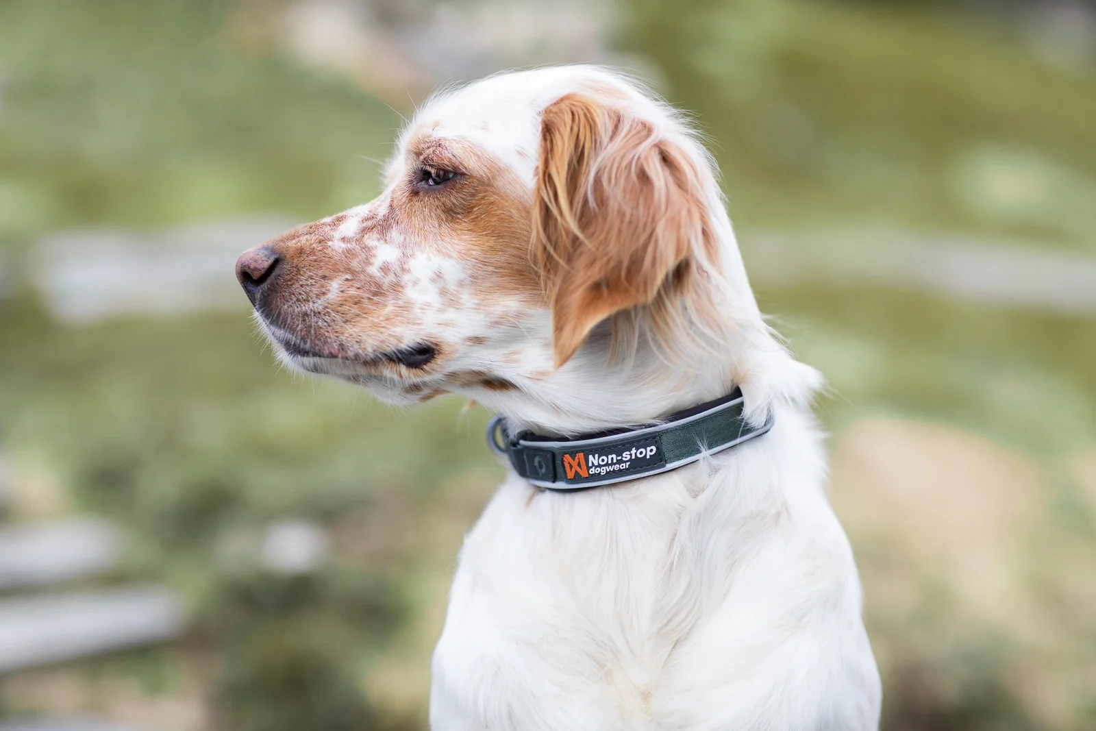 Non-Stop Roam Collar, Green, S - Bilde 2