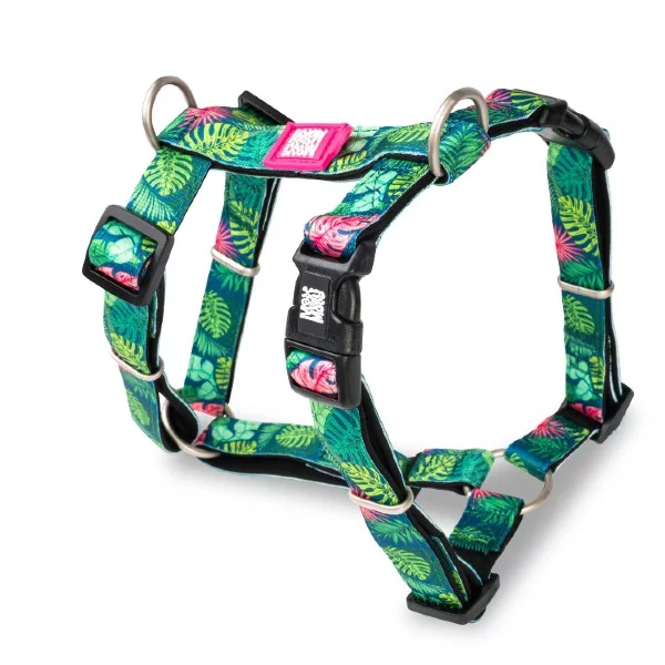 Tropical Sele XS