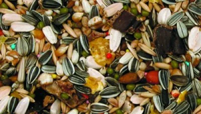 Bello Papegoj Blandning Vitamintillskott 4Kg