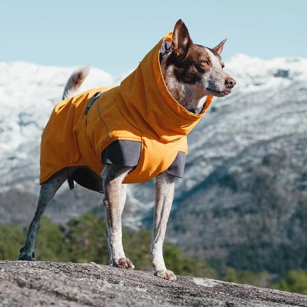 Expedition Parka Buckthorn 60 - Bilde 4