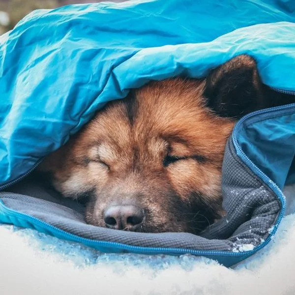 Ly Sleeping Bag M - Bilde 8