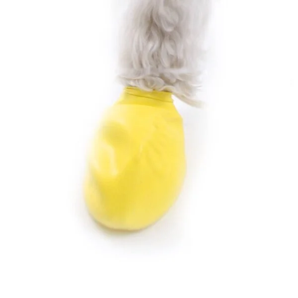 Paws Gummisokk XXS 12 pk