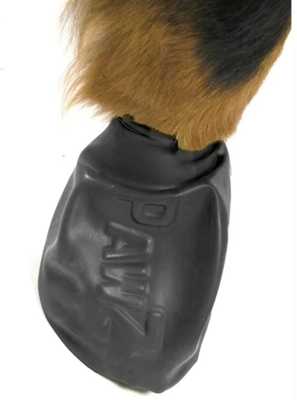 Pawz Gummisokk XL 1 stk