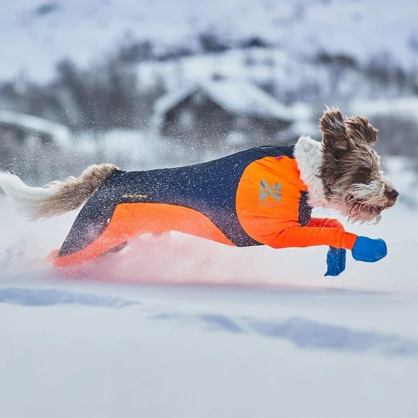 Protector Snow Female L - Bilde 3
