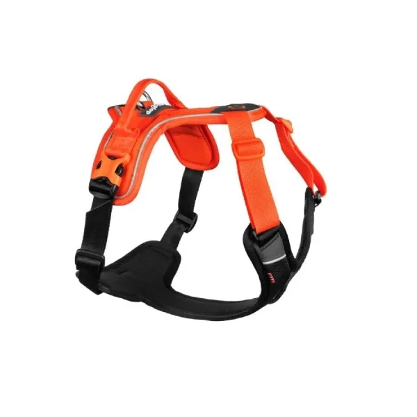 Ramble Harness Orange L