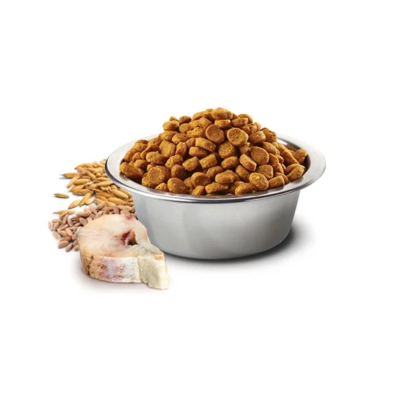 N&D Ocean Cod, Spelt, Oats & Orange Adult Medium & Maxi 12 kg - Bilde 2