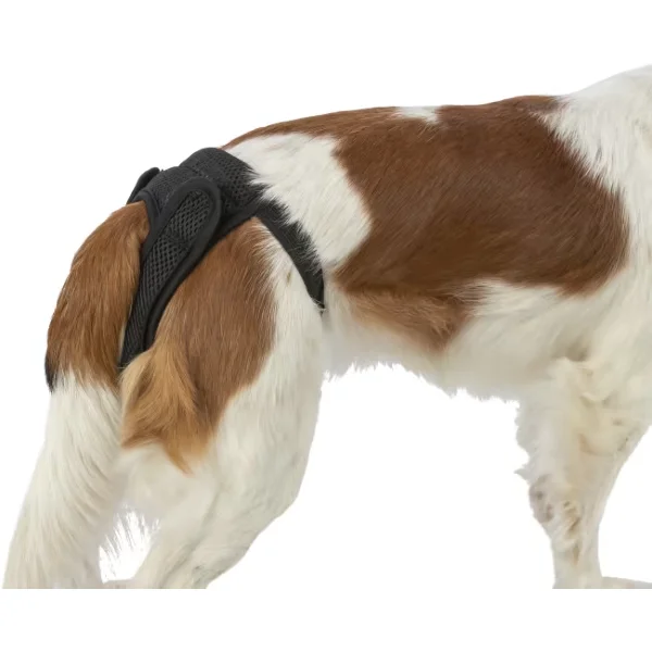 Tispetruse Comfort M - Bilde 5