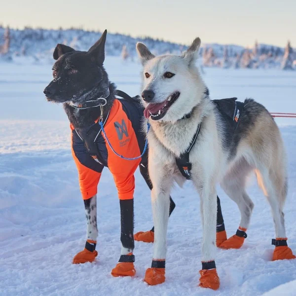 Nansen Nome Harness 5.0 7.5 - Bilde 8
