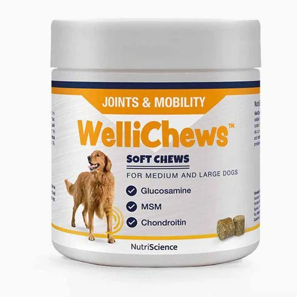 Wellichews Joint Medium/Large Dog 60 St