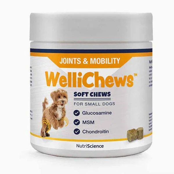 Wellichews Joint Small Dog/Cat 120 St