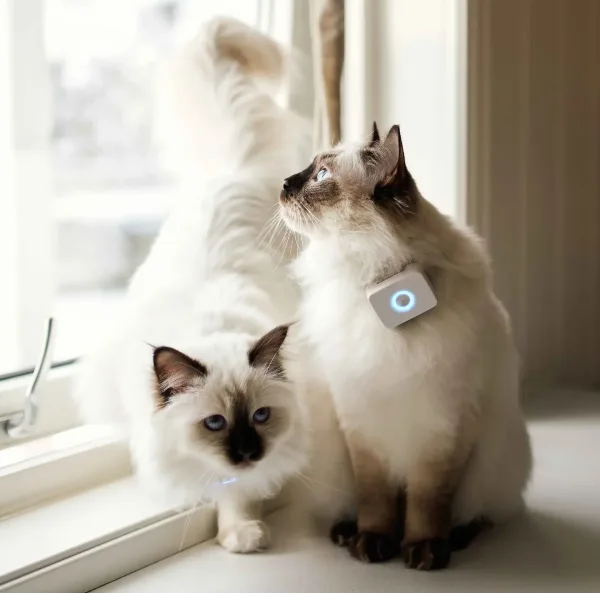 Lilcat GPS Og Aktivitetsmåler - Bilde 2