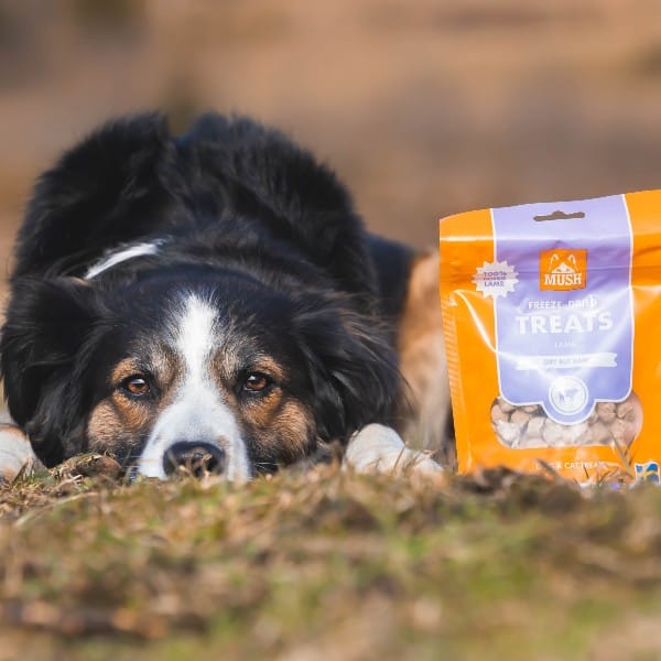 Mush Treats Frysetørket Lam 55g - Bilde 2