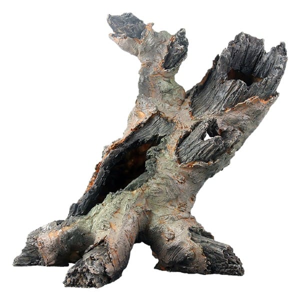 AN Forest nr 13