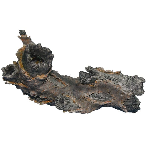 Forest Collection no 26