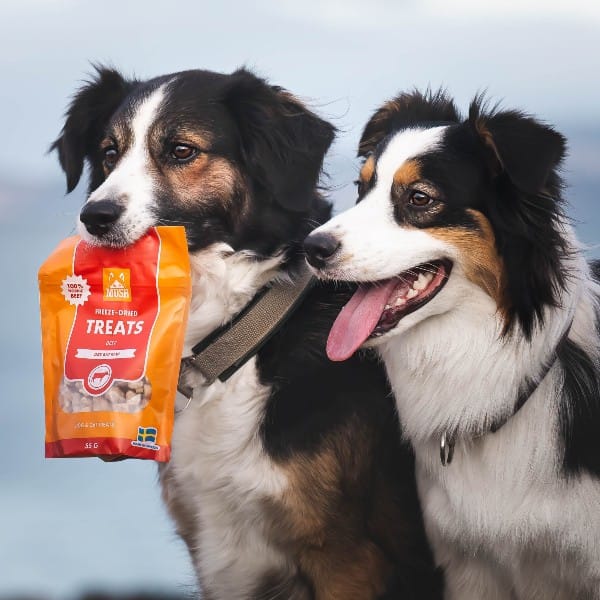Mush Treats Frysetørket Okse 55g - Bilde 2