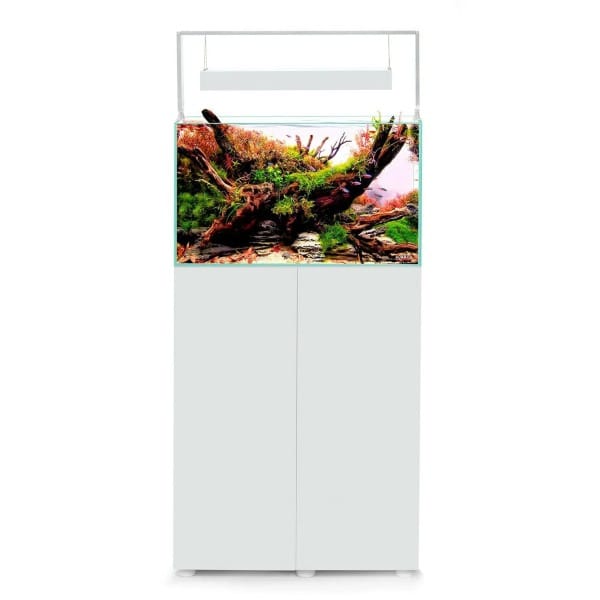 Aquael Ultrascape 60 Snow Set
